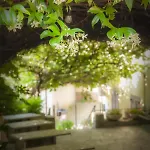 E Trattoria San Giorgio