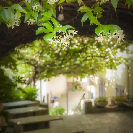 E Trattoria San Giorgio