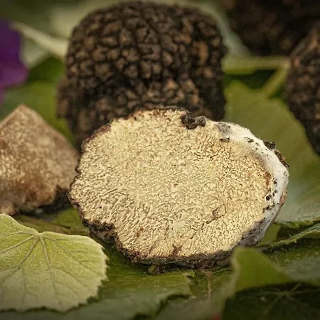 מלון E Trattoria San Giorgio