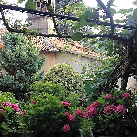 E Trattoria San Giorgio Piossasco