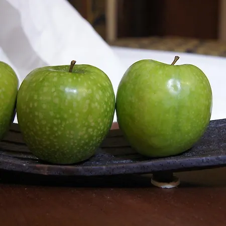 E Trattoria San Giorgio 3* Piossasco