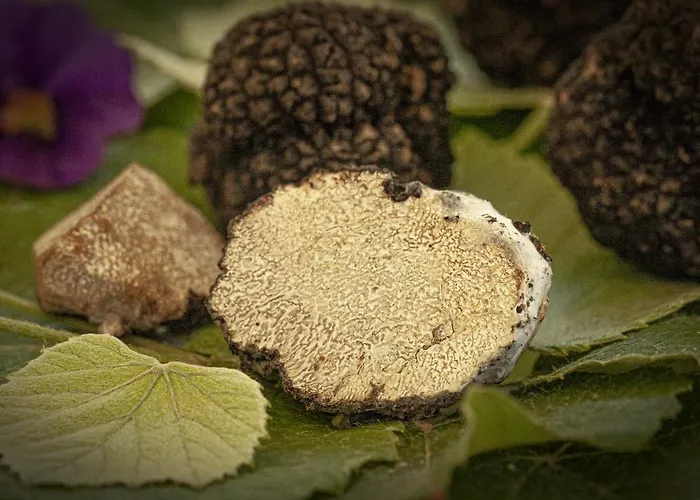 ホテル E Trattoria San Giorgio